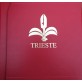1947/54 Trieste B collezione completa